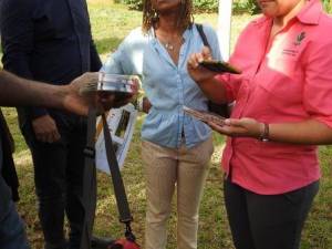 Visite invités caribéens de la Caribbean week Ferme prototype pilote en polyculture élevage Duclos Petit-Bourg 10 12 2019 MJM URZ  (13)